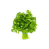 CORIANDER (Each)