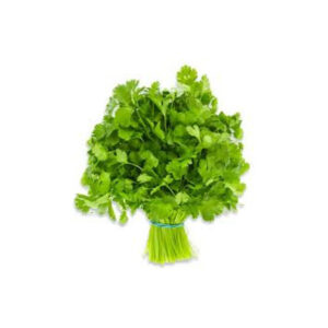 CORIANDER (Each)